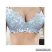 ヒメ日記 2025/09/24 17:50 投稿 アリス La vista （ラビスタ）