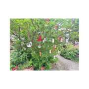 ヒメ日記 2025/05/26 15:11 投稿 ミア ドMなバニーちゃん大宮店