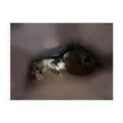 ヒメ日記 2025/05/27 10:00 投稿 ミア ドMなバニーちゃん大宮店