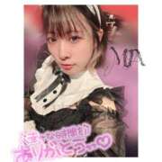 ヒメ日記 2025/11/15 00:38 投稿 ミア ドMなバニーちゃん大宮店