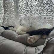 ヒメ日記 2026/01/24 13:19 投稿 ミア ドMなバニーちゃん大宮店