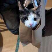 ヒメ日記 2026/01/26 06:06 投稿 ミア ドMなバニーちゃん大宮店