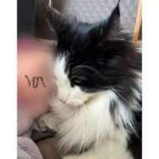 ヒメ日記 2026/02/04 17:45 投稿 ミア ドMなバニーちゃん大宮店