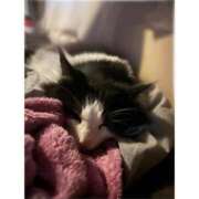 ヒメ日記 2026/02/07 14:16 投稿 ミア ドMなバニーちゃん大宮店