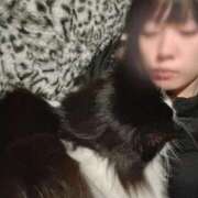 ヒメ日記 2026/02/17 00:13 投稿 ミア ドMなバニーちゃん大宮店