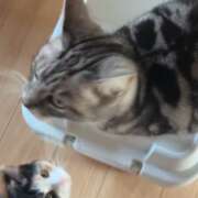 ヒメ日記 2026/02/22 09:49 投稿 ミア ドMなバニーちゃん大宮店