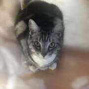 ヒメ日記 2026/03/07 12:25 投稿 ミア ドMなバニーちゃん大宮店