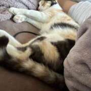 ヒメ日記 2026/04/03 10:03 投稿 ミア ドMなバニーちゃん大宮店