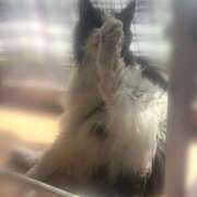 ヒメ日記 2026/04/03 13:57 投稿 ミア ドMなバニーちゃん大宮店