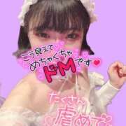 ヒメ日記 2026/05/10 17:00 投稿 ミア ドMなバニーちゃん大宮店