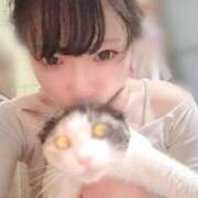 ヒメ日記 2026/05/27 03:52 投稿 ミア ドMなバニーちゃん大宮店