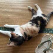 ヒメ日記 2026/06/01 17:10 投稿 ミア ドMなバニーちゃん大宮店