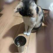 ヒメ日記 2026/09/13 15:49 投稿 ミア ドMなバニーちゃん大宮店