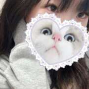 ヒメ日記 2024/12/14 19:50 投稿 りのあ 京都出張メンズエステChou Chou（シュシュ)