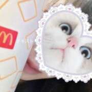 ヒメ日記 2024/12/26 18:51 投稿 りのあ 京都出張メンズエステChou Chou（シュシュ)