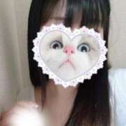 ヒメ日記 2025/01/29 15:20 投稿 りのあ 京都出張メンズエステChou Chou（シュシュ)