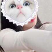 ヒメ日記 2025/01/29 19:45 投稿 りのあ 京都出張メンズエステChou Chou（シュシュ)