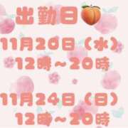 ヒメ日記 2024/11/20 09:30 投稿 もも 素人巨乳ちゃんこ「東千葉店」