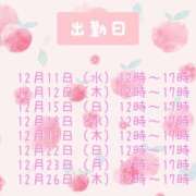 ヒメ日記 2024/12/26 09:44 投稿 もも 素人巨乳ちゃんこ「東千葉店」