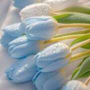 ヒメ日記 2025/06/21 17:24 投稿 もも 素人巨乳ちゃんこ「東千葉店」