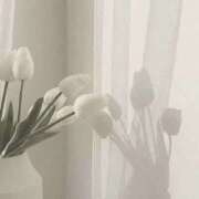 ヒメ日記 2025/09/19 11:50 投稿 もも 素人巨乳ちゃんこ「東千葉店」