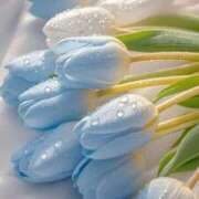 ヒメ日記 2026/01/29 11:28 投稿 もも 素人巨乳ちゃんこ「東千葉店」