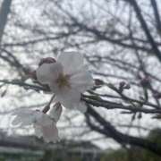 ヒメ日記 2026/03/11 08:00 投稿 もも 素人巨乳ちゃんこ「東千葉店」