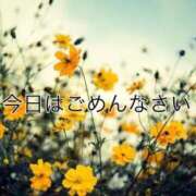 ヒメ日記 2026/01/09 15:31 投稿 せんり 横浜人妻ヒットパレード（シンデレラグループ）