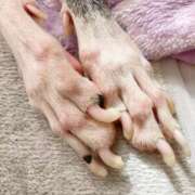 ヒメ日記 2025/02/24 12:22 投稿 冬花 素人妻達☆マイふぇらレディー