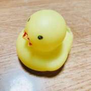 ヒメ日記 2025/02/24 22:33 投稿 冬花 素人妻達☆マイふぇらレディー