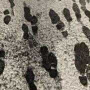 ヒメ日記 2025/03/04 21:09 投稿 冬花 素人妻達☆マイふぇらレディー