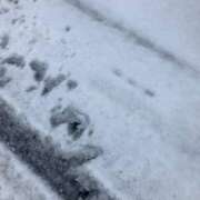 ヒメ日記 2025/03/19 10:40 投稿 冬花 素人妻達☆マイふぇらレディー