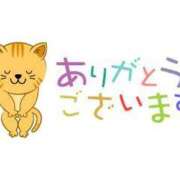 ヒメ日記 2025/06/24 19:38 投稿 もか 成田富里インターちゃんこ