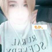 ヒメ日記 2025/07/24 10:48 投稿 もか 成田富里インターちゃんこ