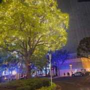 ヒメ日記 2025/06/05 23:35 投稿 かおる 熟女家 京橋店