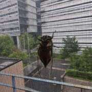 ヒメ日記 2025/07/08 14:07 投稿 かおる 熟女家 京橋店