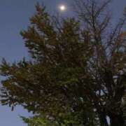 ヒメ日記 2026/01/26 07:16 投稿 かおる 熟女家 京橋店