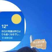 ヒメ日記 2026/02/17 14:46 投稿 かおる 熟女家 京橋店