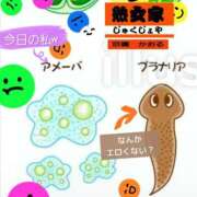 ヒメ日記 2026/06/11 16:56 投稿 かおる 熟女家 京橋店