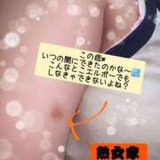 ヒメ日記 2026/07/16 11:26 投稿 かおる 熟女家 京橋店