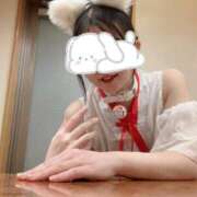 ヒメ日記 2026/03/31 11:17 投稿 長澤せんり 大人めシンデレラ 新横浜店（シンデレラグループ）