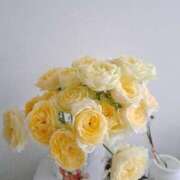 ヒメ日記 2024/12/19 12:31 投稿 やよい ぷるるんマダム 難波店