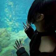 ヒメ日記 2026/04/22 07:50 投稿 のあ コンカフェ×オナクラ @LOVE日本橋店