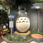 ヒメ日記 2025/04/11 07:30 投稿 小波 鶯谷人妻城