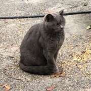 ヒメ日記 2025/10/27 07:15 投稿 小波 鶯谷人妻城