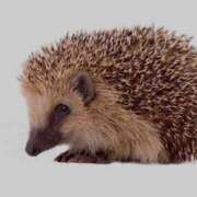 ヒメ日記 2025/04/21 19:14 投稿 みやび 濃厚即19妻