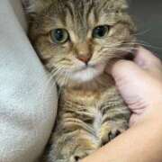 ヒメ日記 2026/04/12 00:34 投稿 みやび 濃厚即19妻