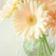 ヒメ日記 2025/01/05 03:49 投稿 花奈美（かなみ） 熟女の風俗最終章 大宮店