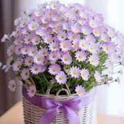 ヒメ日記 2025/01/05 13:09 投稿 花奈美（かなみ） 熟女の風俗最終章 大宮店