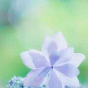 ヒメ日記 2025/01/05 22:19 投稿 花奈美（かなみ） 熟女の風俗最終章 大宮店